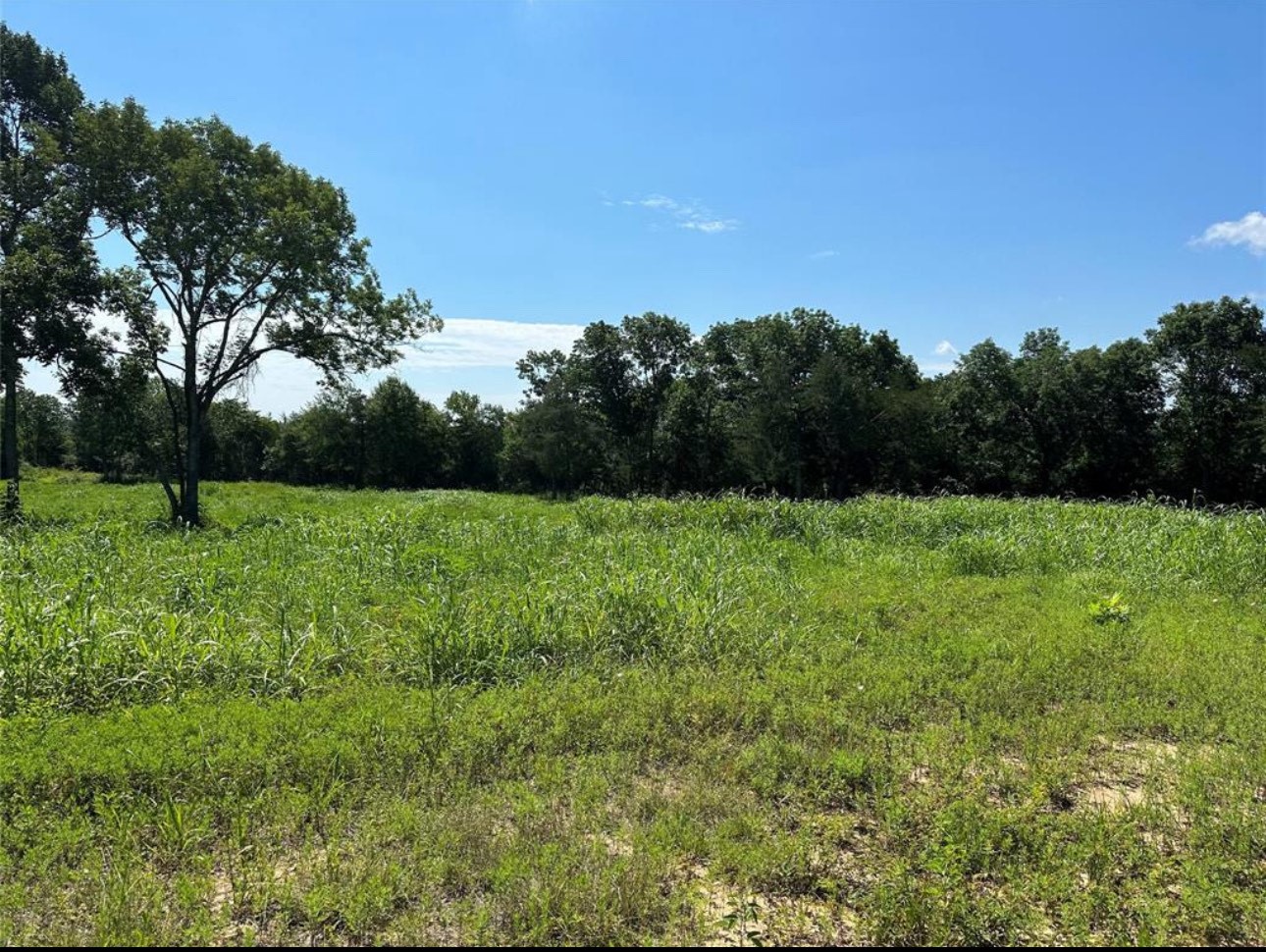 612 Worsham Street , Montgomery, TX, 77316 | 10263229 | Realty Texas LLC