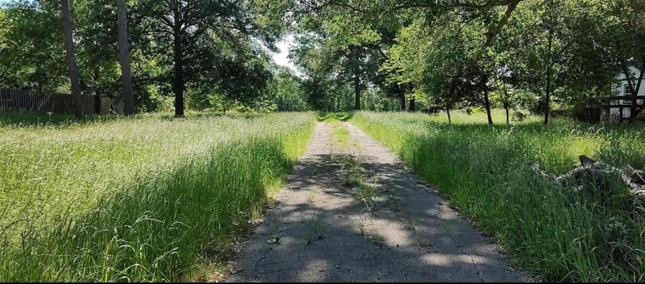 612 Worsham Street , Montgomery, TX, 77316 | 10263229 | Realty Texas LLC