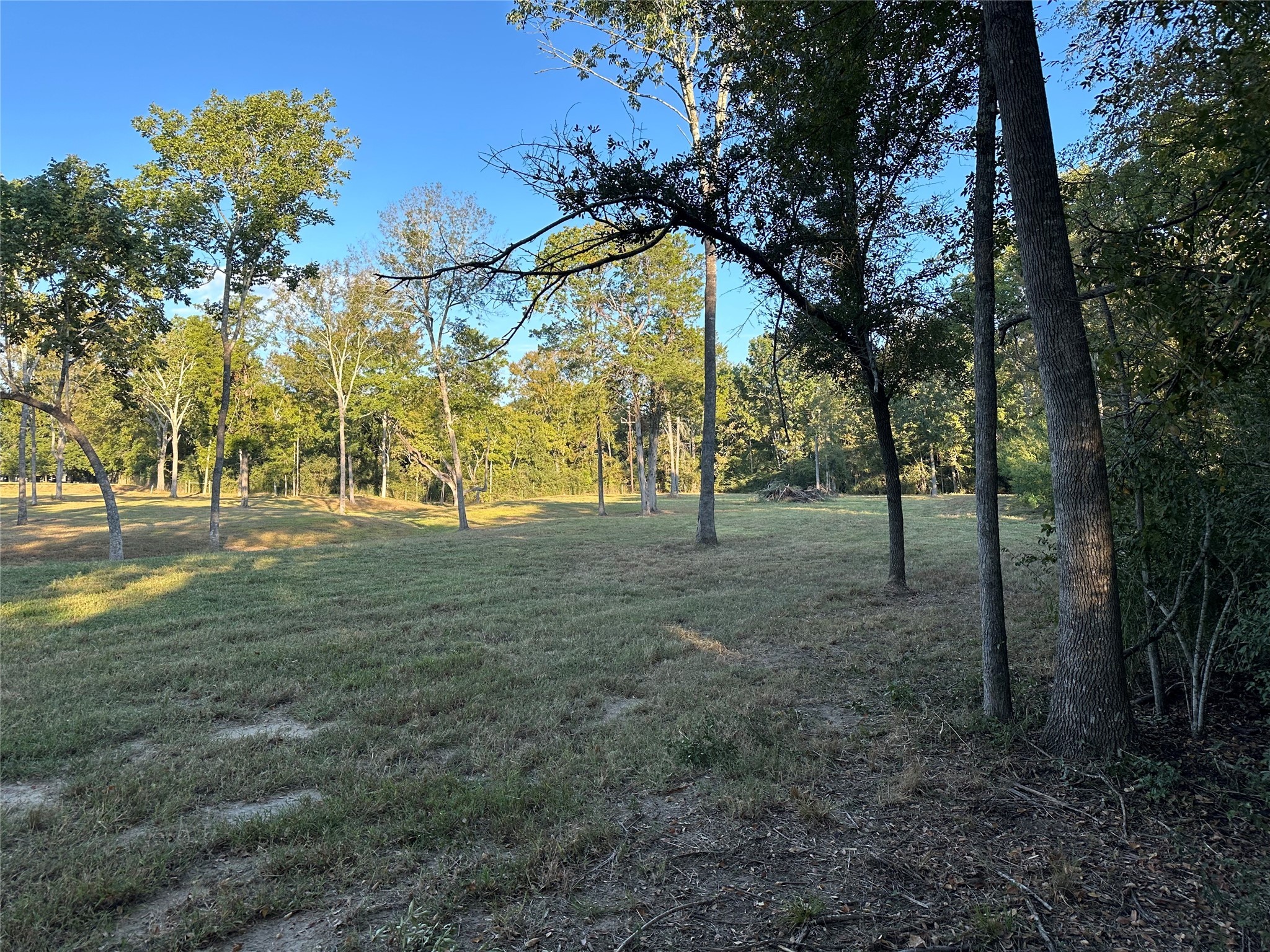 612 Worsham Street , Montgomery, TX, 77316 | 10263229 | Realty Texas LLC