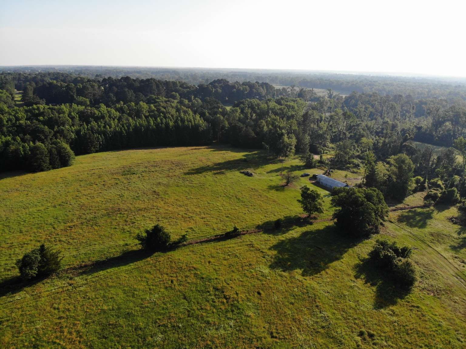 3585 Highway 11 , Daingerfield, TX, 75638 | 20653861 | Realty Texas LLC