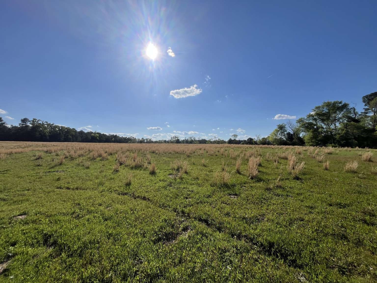 3585 Highway 11 , Daingerfield, TX, 75638 | 20653861 | Realty Texas LLC