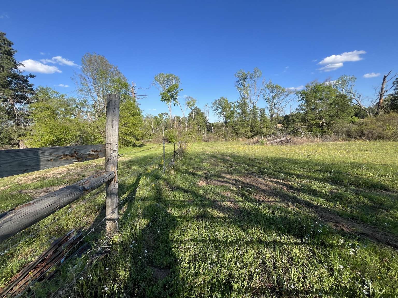 3585 Highway 11 , Daingerfield, TX, 75638 | 20653861 | Realty Texas LLC