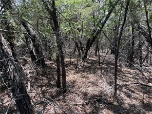 20610 Agarita Drive, Leander, TX, 78645 | 5178865 | Realty Texas LLC