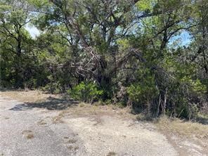 20610 Agarita Drive, Leander, TX, 78645 | 5178865 | Realty Texas LLC