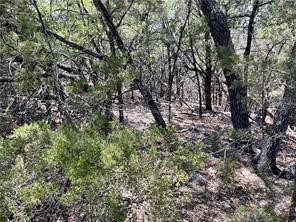 20610 Agarita Drive, Leander, TX, 78645 | 5178865 | Realty Texas LLC