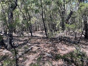 20610 Agarita Drive, Leander, TX, 78645 | 5178865 | Realty Texas LLC