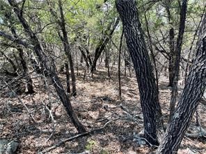 20610 Agarita Drive, Leander, TX, 78645 | 5178865 | Realty Texas LLC