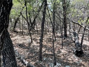 20610 Agarita Drive, Leander, TX, 78645 | 5178865 | Realty Texas LLC