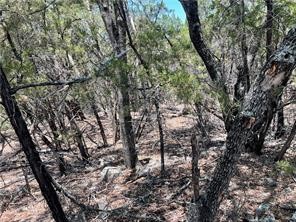 20610 Agarita Drive, Leander, TX, 78645 | 5178865 | Realty Texas LLC