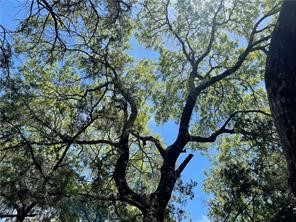 20610 Agarita Drive, Leander, TX, 78645 | 5178865 | Realty Texas LLC