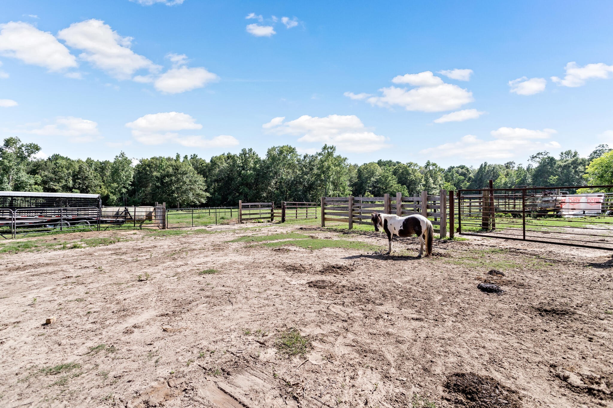 31848 S 96 Highway , Buna, TX, 77706 | 17736774 | Realty Texas LLC