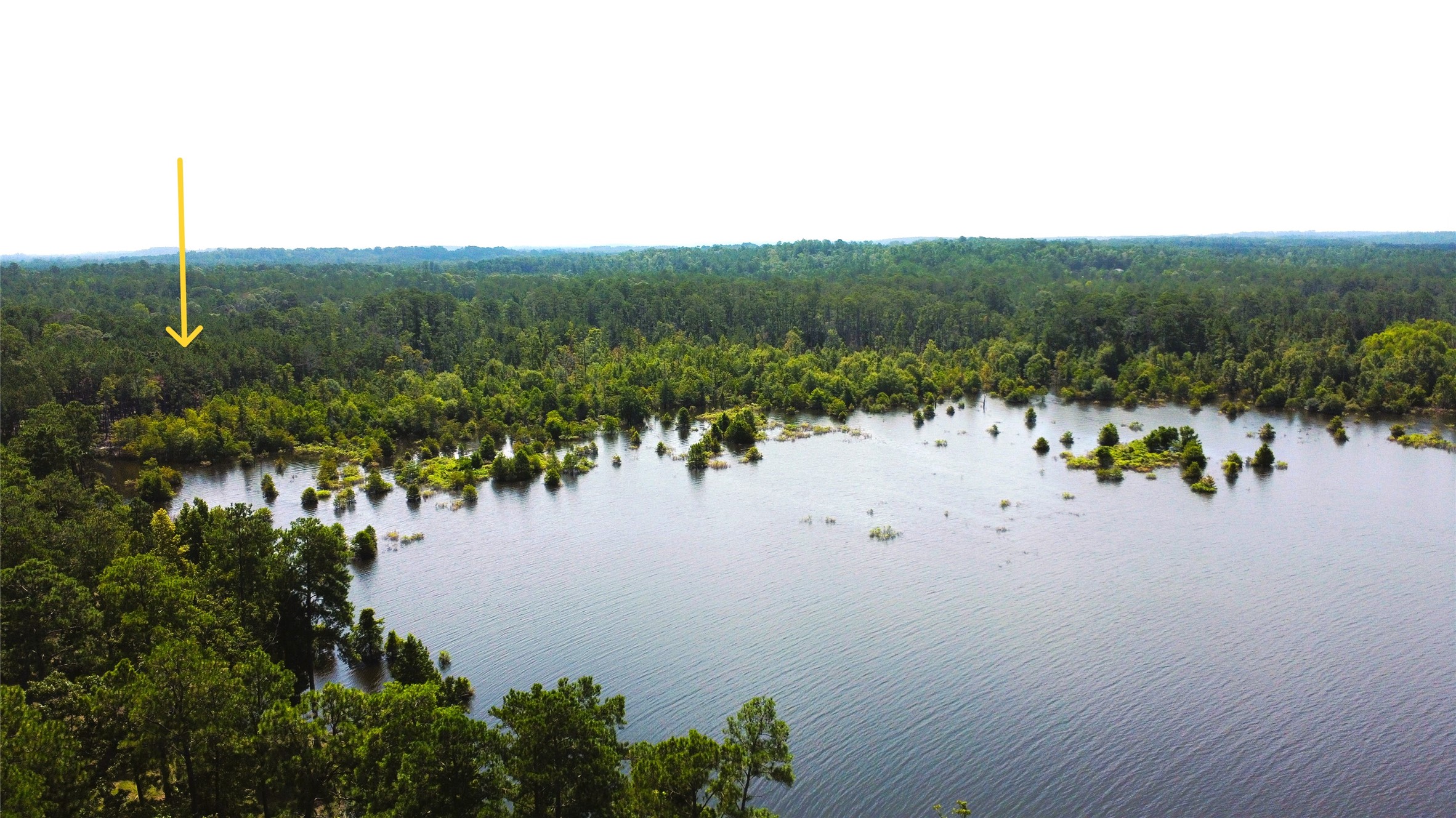 Lot 28/29 Live Oak Drive , Browndell, TX, 75931 | 20679498 | Realty Texas LLC