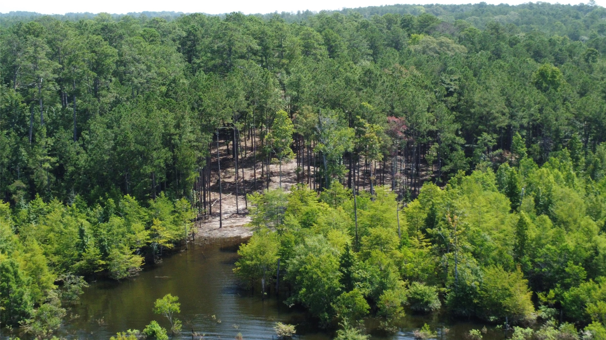 Lot 28/29 Live Oak Drive , Browndell, TX, 75931 | 20679498 | Realty Texas LLC