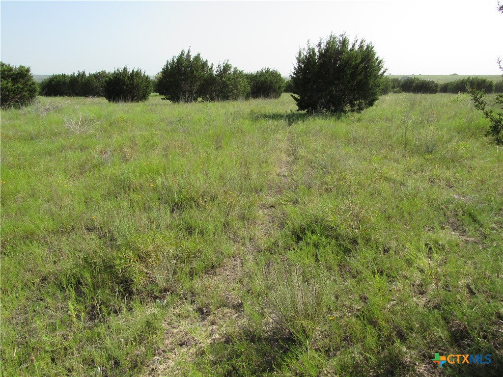542 County Road 2275 , Lampasas, TX, 76550 | 551785 | Realty Texas LLC