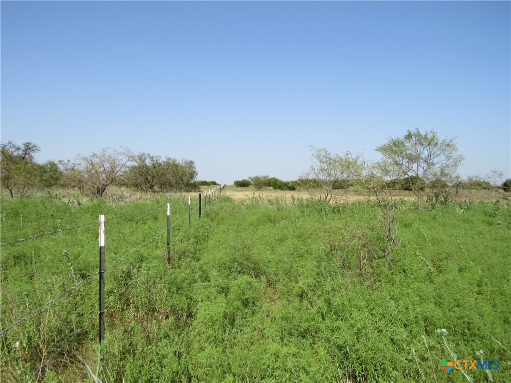 542 County Road 2275 , Lampasas, TX, 76550 | 551785 | Realty Texas LLC