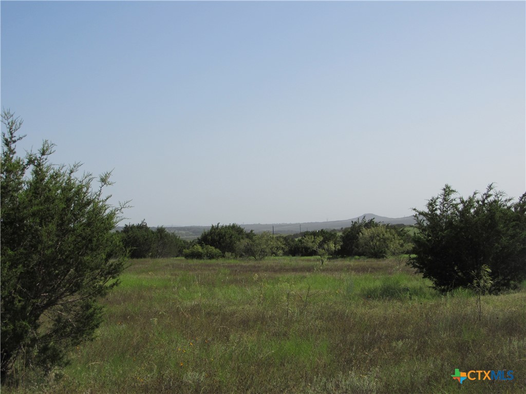 542 County Road 2275 , Lampasas, TX, 76550 | 551785 | Realty Texas LLC