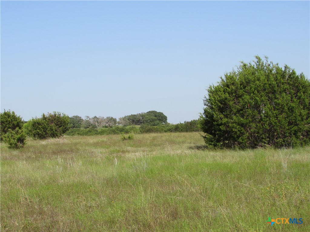 542 County Road 2275 , Lampasas, TX, 76550 | 551785 | Realty Texas LLC