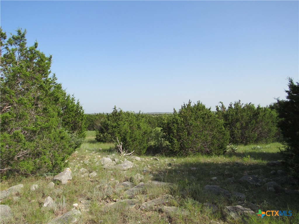 542 County Road 2275 , Lampasas, TX, 76550 | 551785 | Realty Texas LLC
