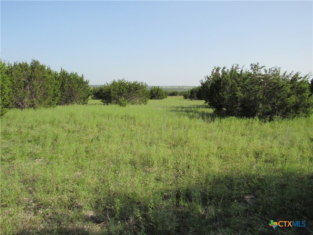 542 County Road 2275 , Lampasas, TX, 76550 | 551785 | Realty Texas LLC