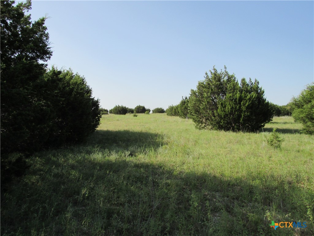 542 County Road 2275 , Lampasas, TX, 76550 | 551785 | Realty Texas LLC