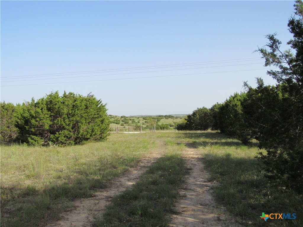 542 County Road 2275 , Lampasas, TX, 76550 | 551785 | Realty Texas LLC