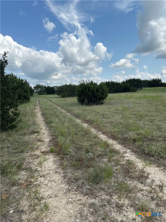 542 County Road 2275 , Lampasas, TX, 76550 | 551785 | Realty Texas LLC