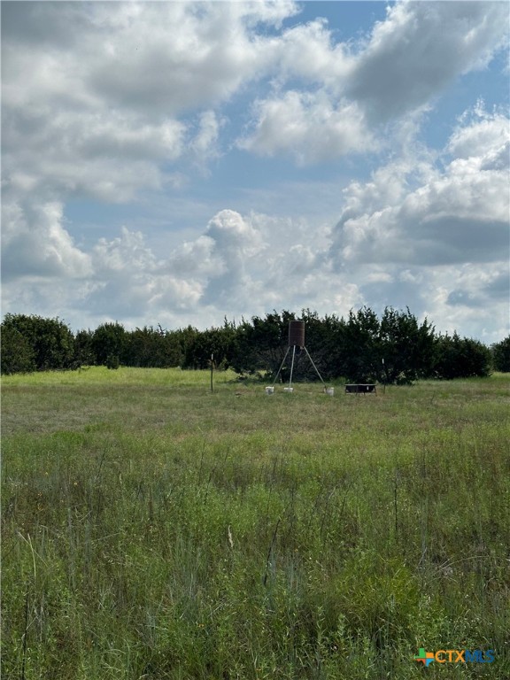 542 County Road 2275 , Lampasas, TX, 76550 | 551785 | Realty Texas LLC