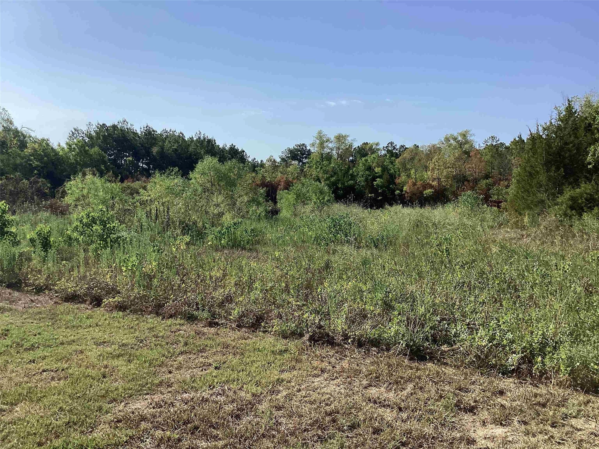 535 FM 82 W , Kirbyville, TX, 75956 | 83203218 | Realty Texas LLC