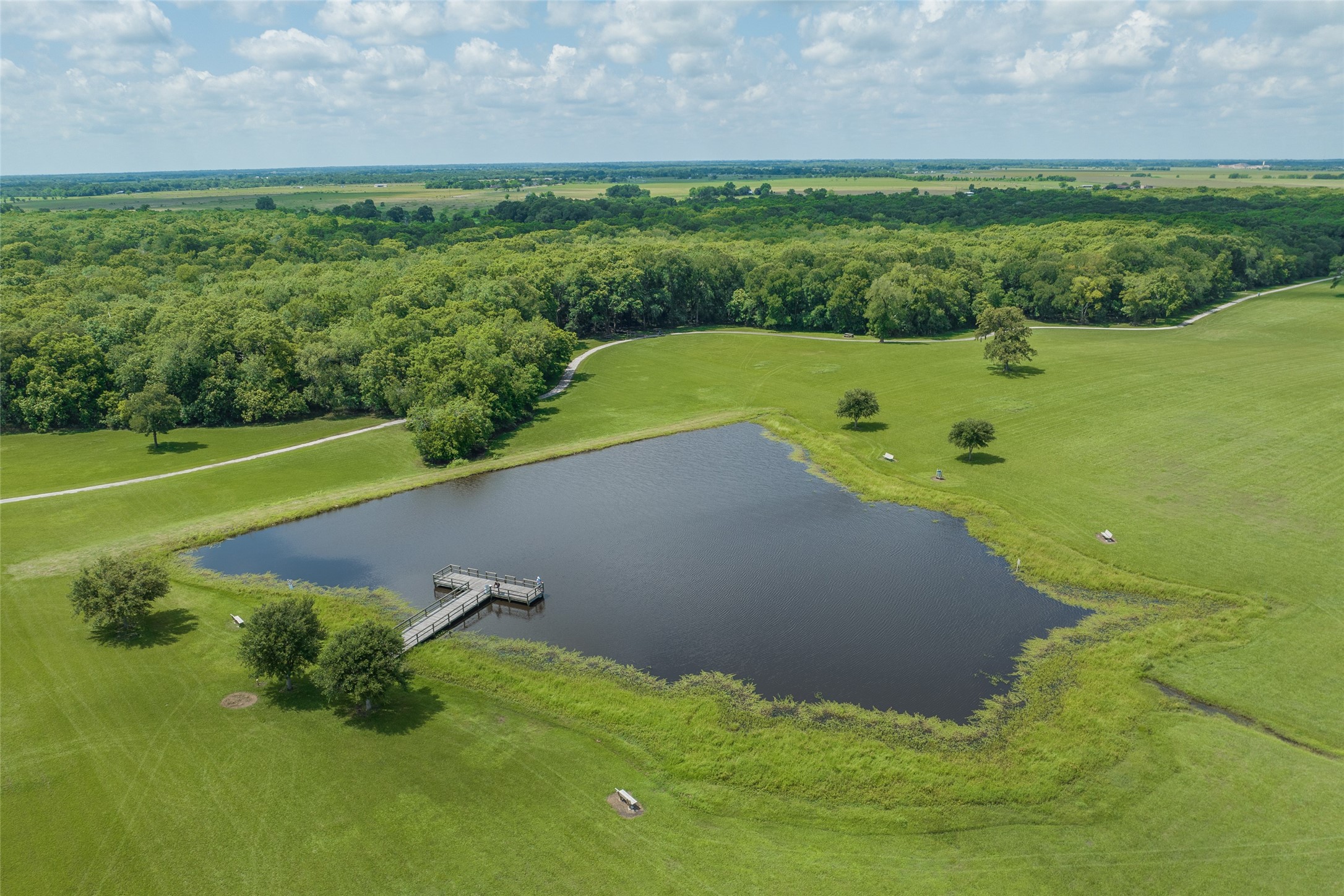 1214 Shady Pines Drive , Beasley, TX, 77417 | 80762949 | Realty Texas LLC