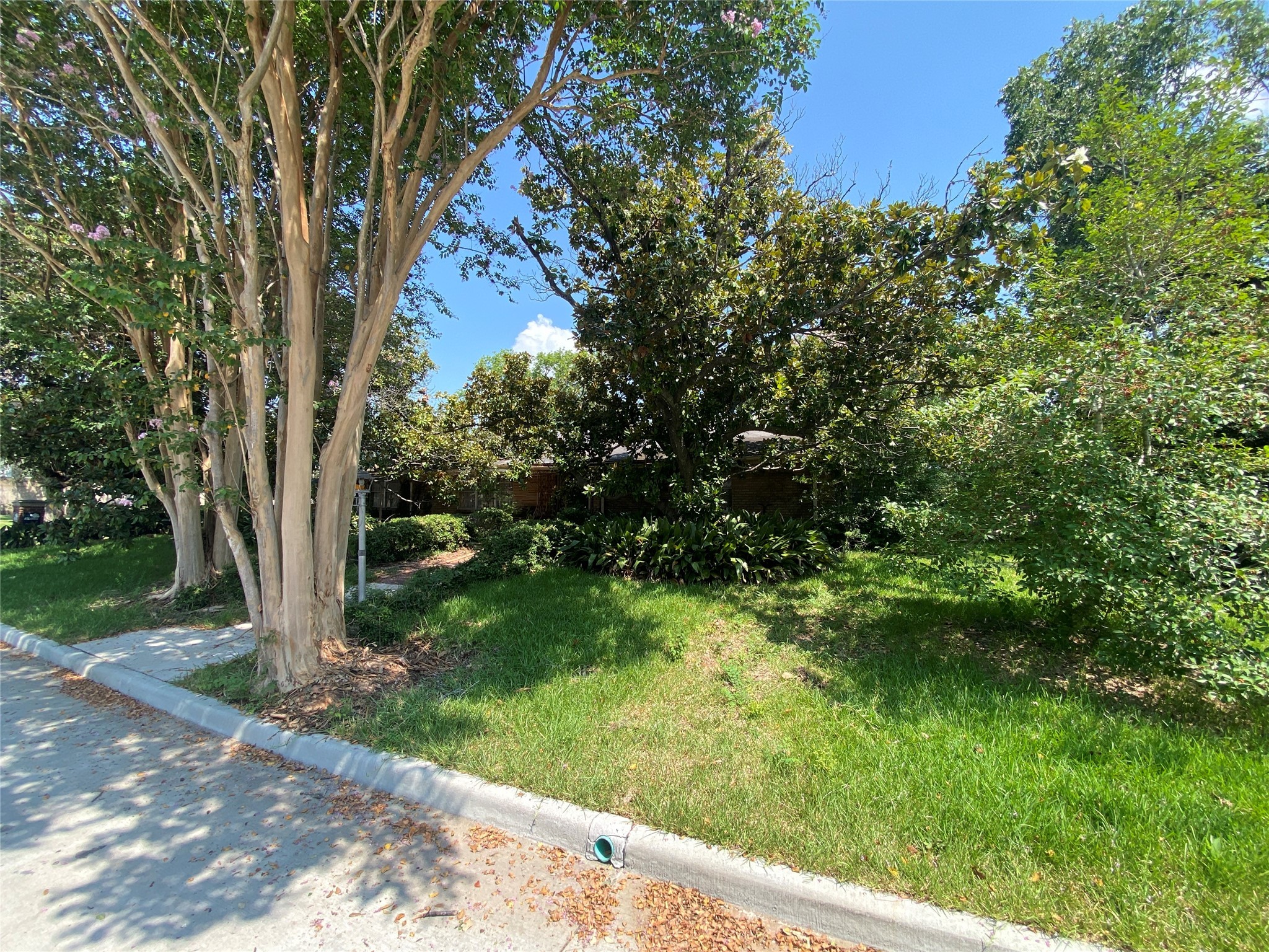 2534 Maroneal Street , Houston, TX, 77030 | 12987922 | Realty Texas LLC