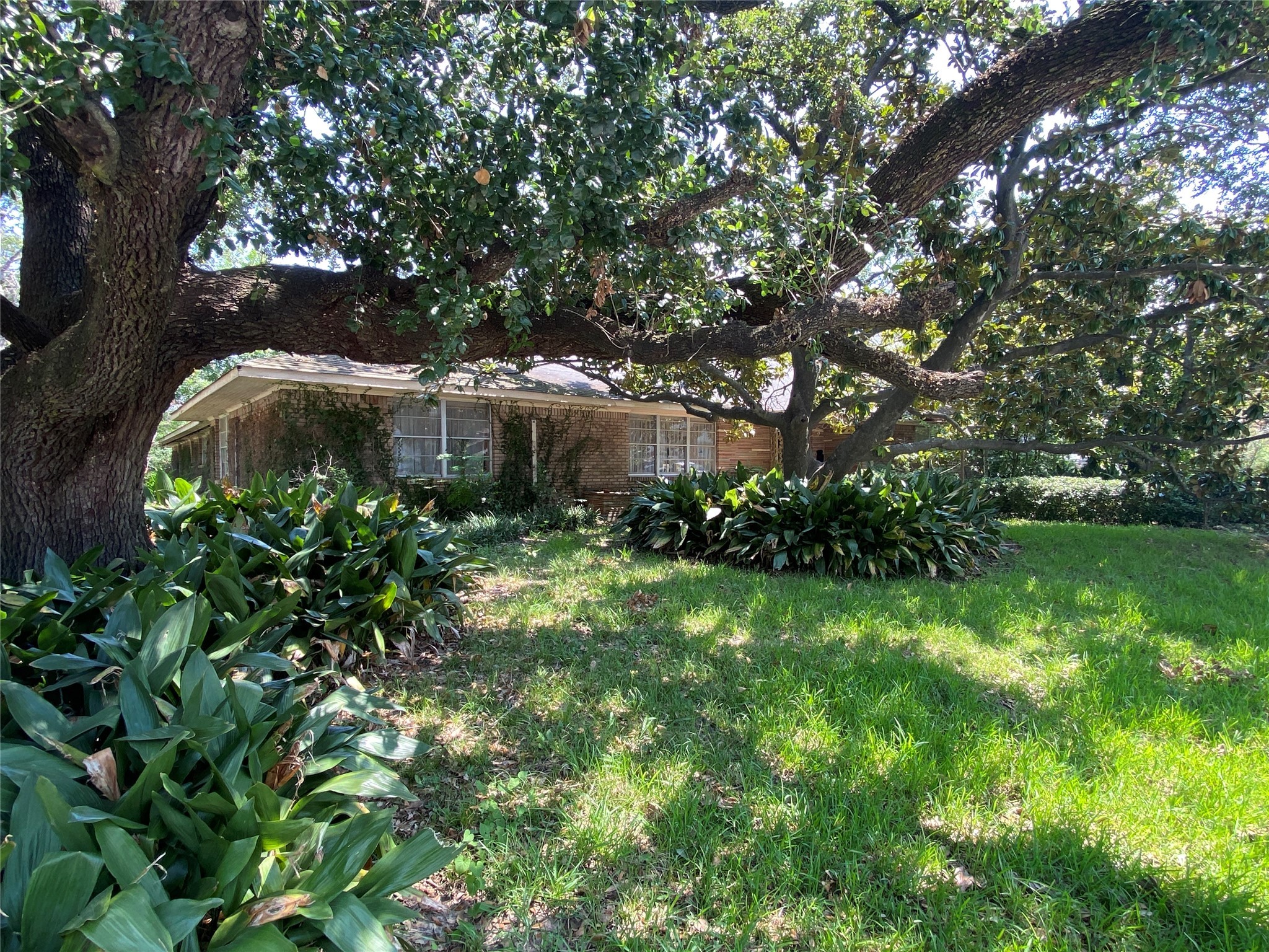 2534 Maroneal Street , Houston, TX, 77030 | 12987922 | Realty Texas LLC