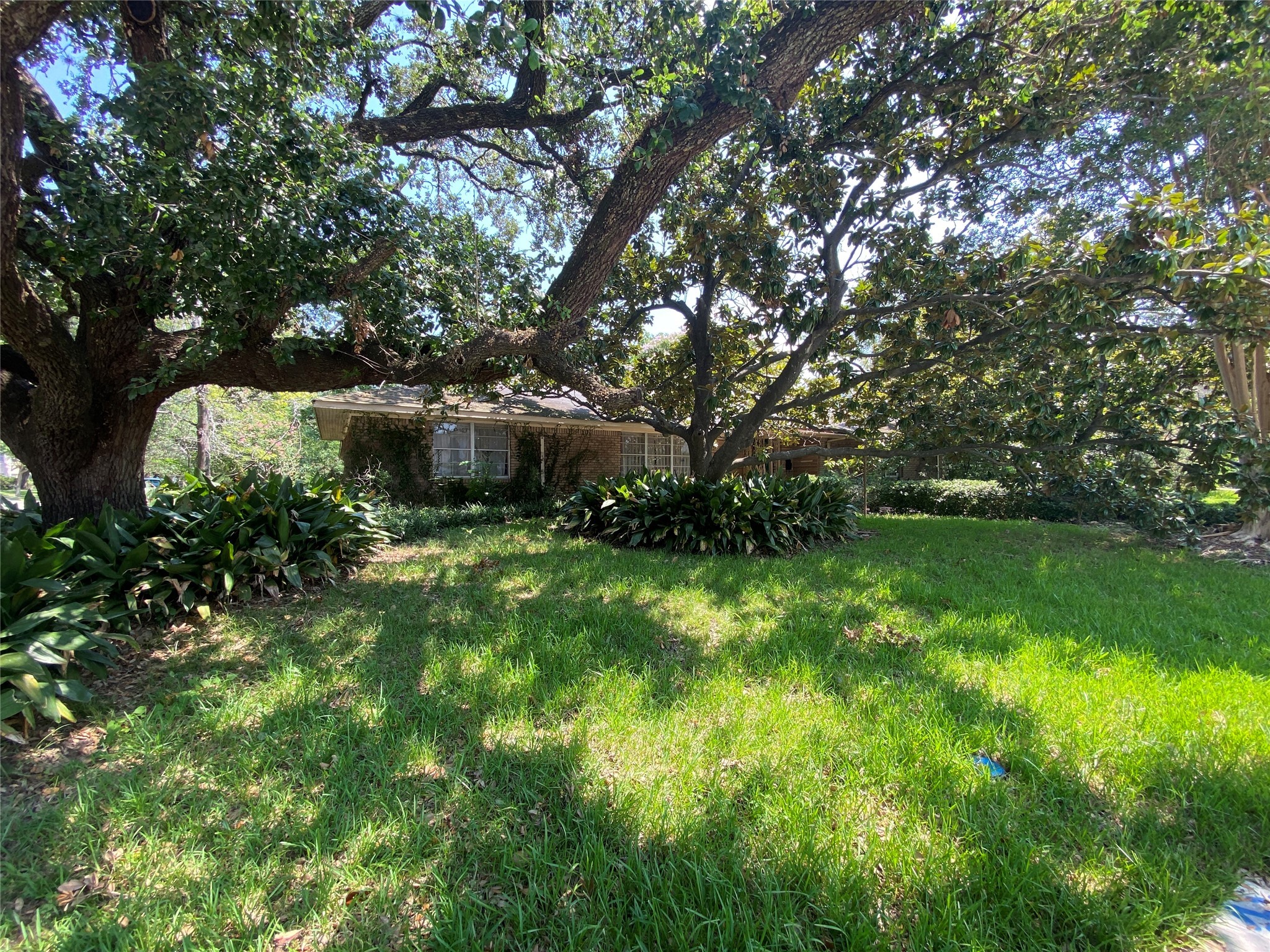 2534 Maroneal Street , Houston, TX, 77030 | 12987922 | Realty Texas LLC