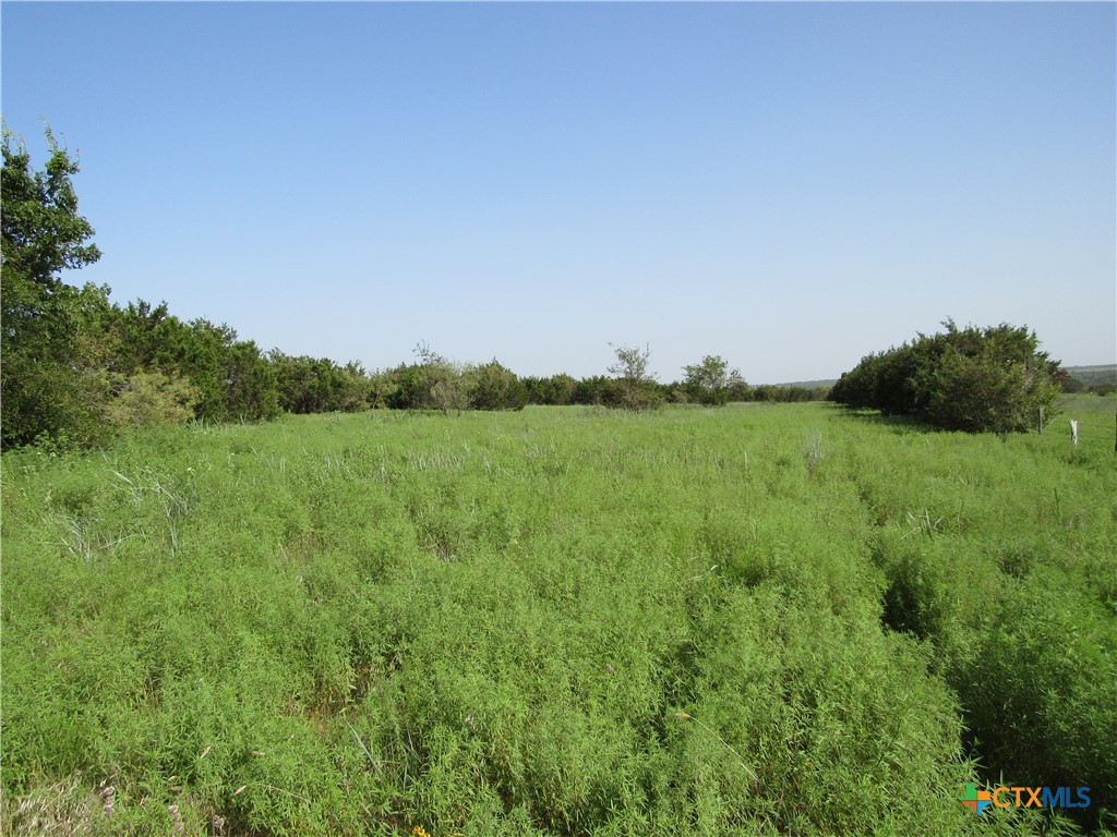 542 County Road 2275 , Lampasas, TX, 76550 | 553298 | Realty Texas LLC