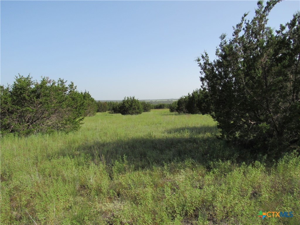 542 County Road 2275 , Lampasas, TX, 76550 | 553298 | Realty Texas LLC