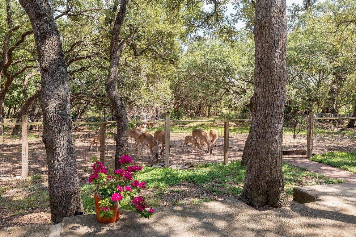 71 Woodacre Drive , Wimberley, TX, 78676 | 7907159 | Realty Texas LLC