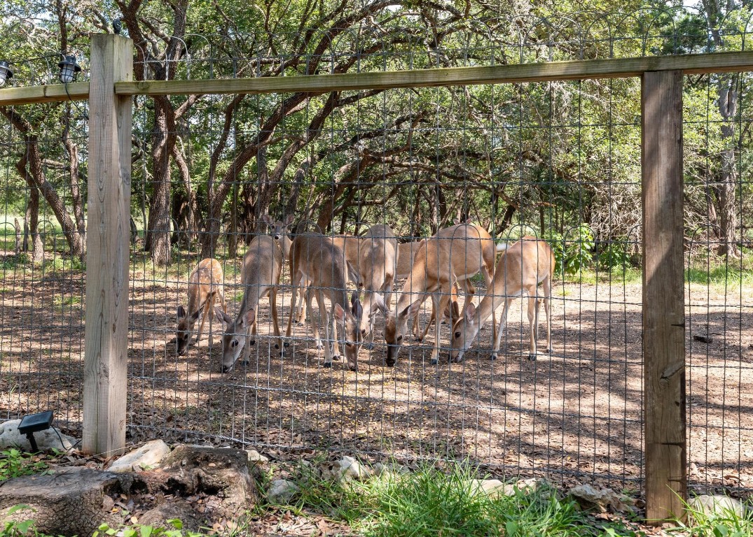71 Woodacre Drive , Wimberley, TX, 78676 | 7907159 | Realty Texas LLC