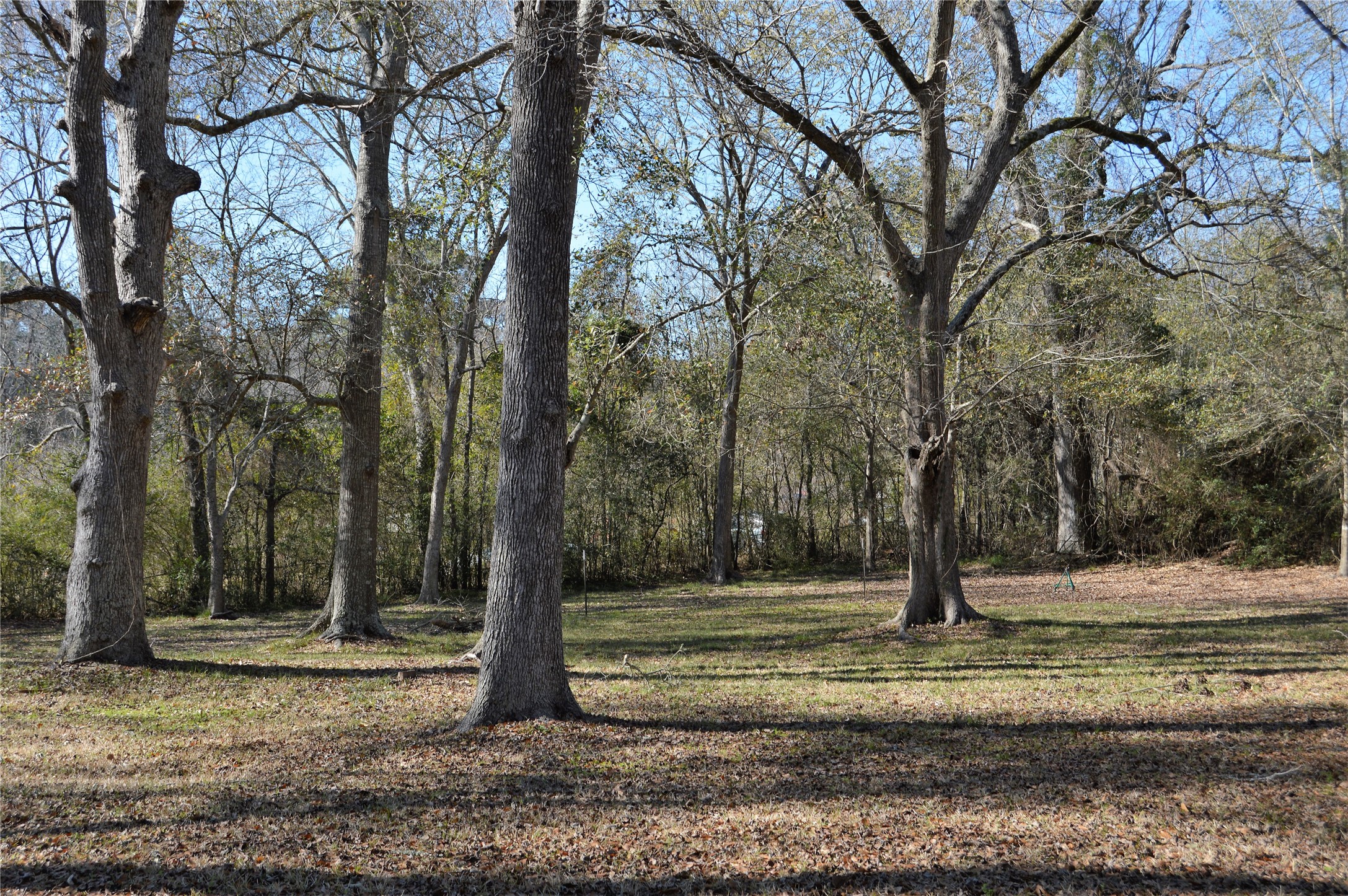 621 FM 1514 Road , Coldspring, TX, 77331 | 97171258 | Realty Texas LLC