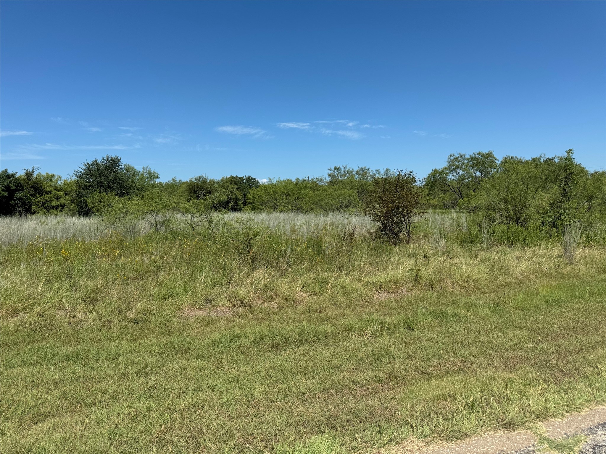 24163 Springwood Lane , Whitney, TX, 76692 | 20707205 | Realty Texas LLC