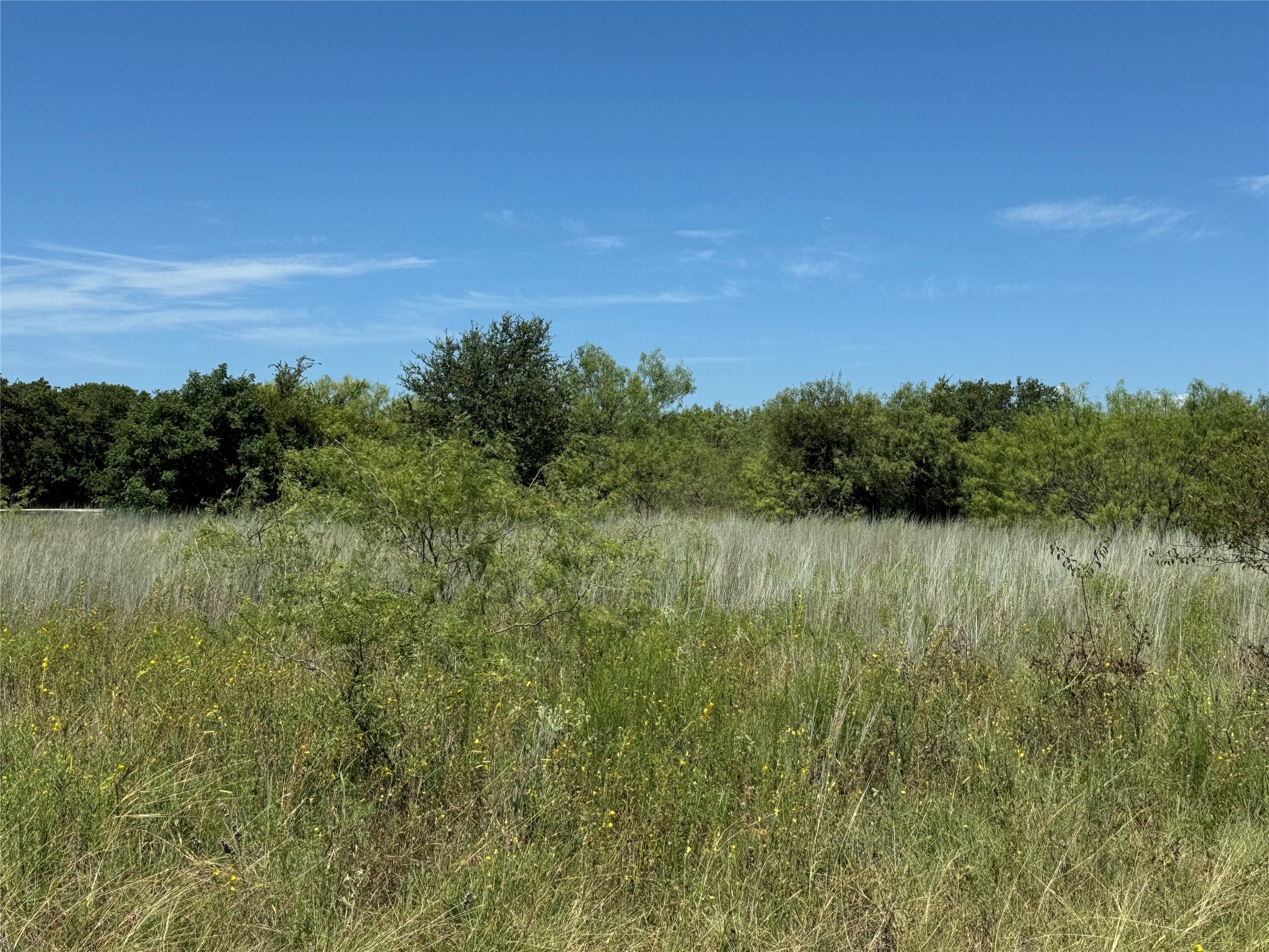 24163 Springwood Lane , Whitney, TX, 76692 | 20707205 | Realty Texas LLC