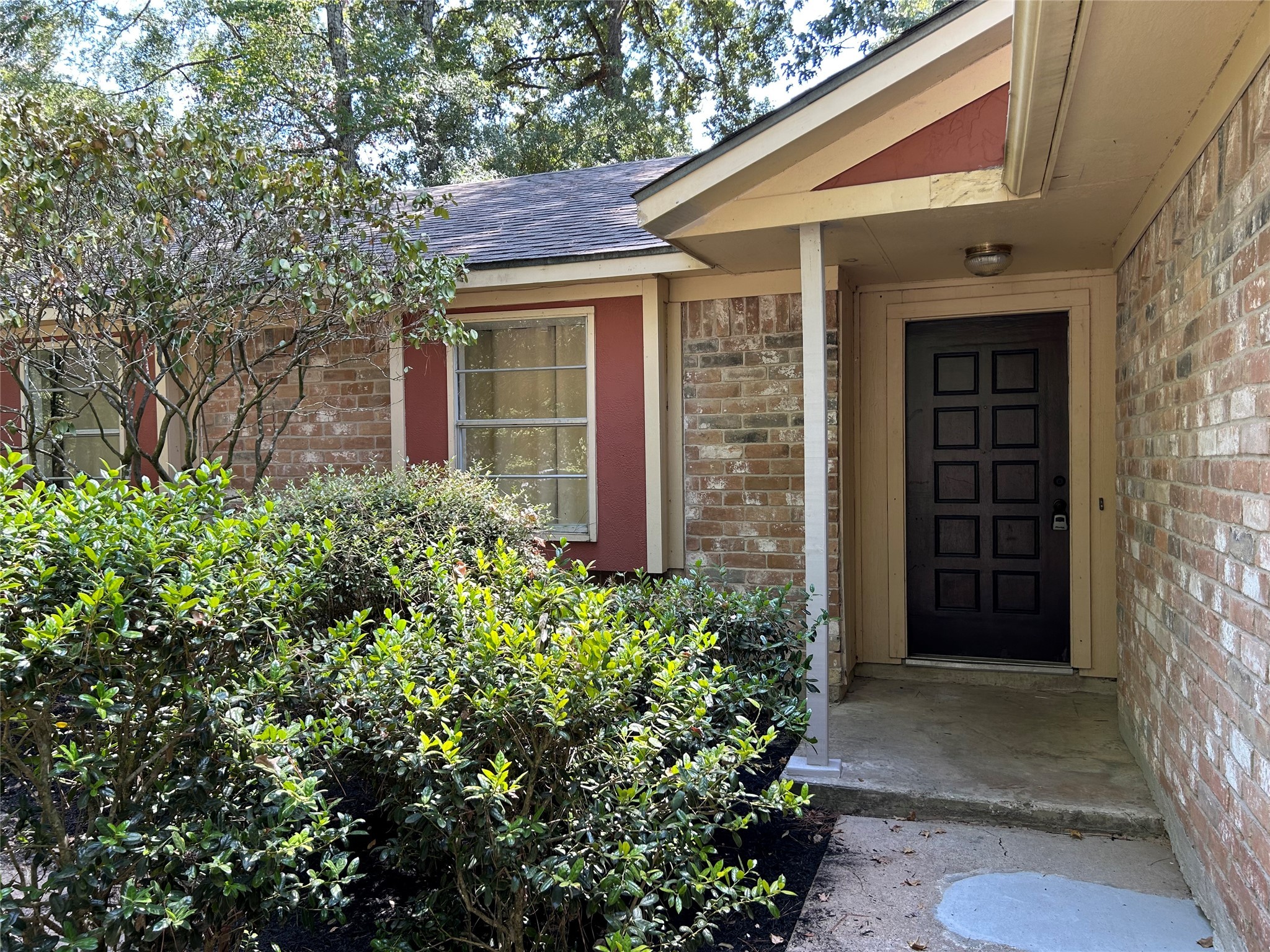3110 Timberlark Drive , Kingwood, TX, 77339 | 25629579 | Realty Texas LLC