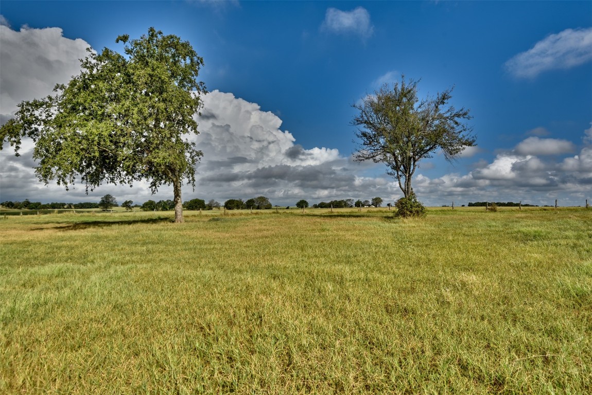 6508 Highway 21 W , Caldwell, TX, 77836 | 2174610 | Realty Texas LLC