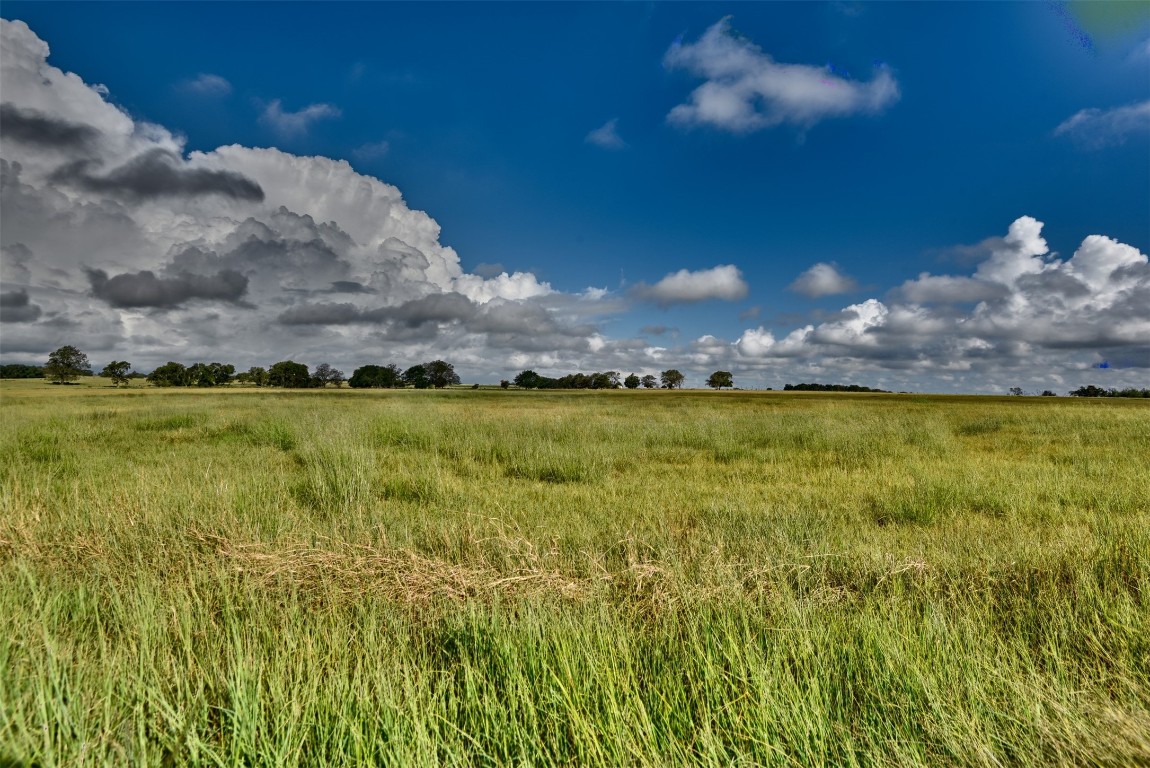 6508 Highway 21 W , Caldwell, TX, 77836 | 2174610 | Realty Texas LLC