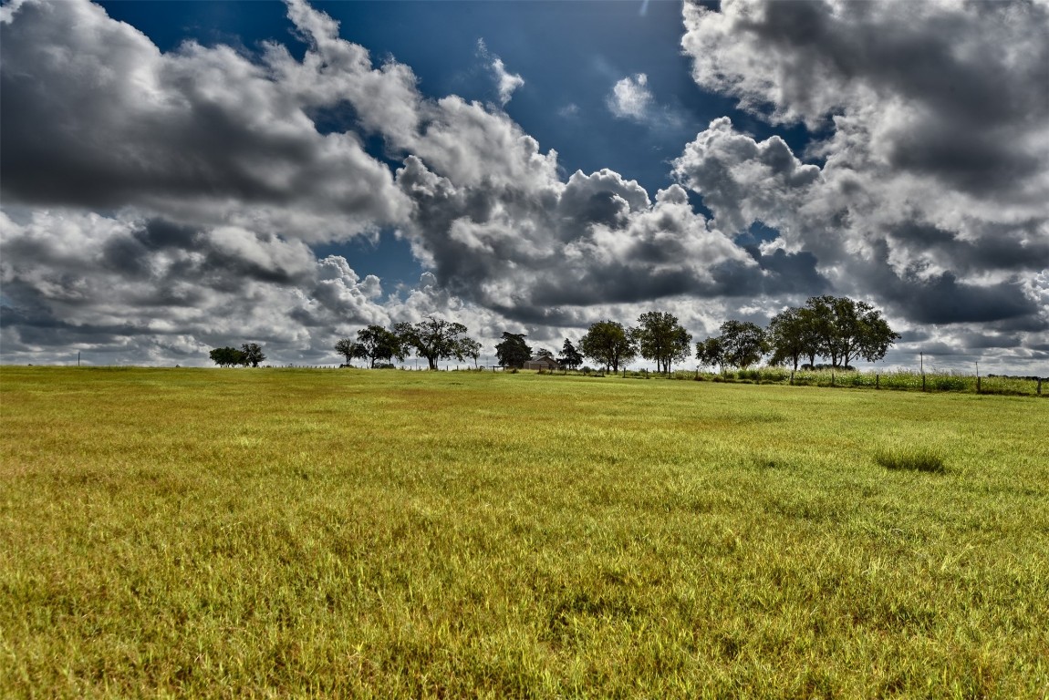 6508 Highway 21 W , Caldwell, TX, 77836 | 2174610 | Realty Texas LLC