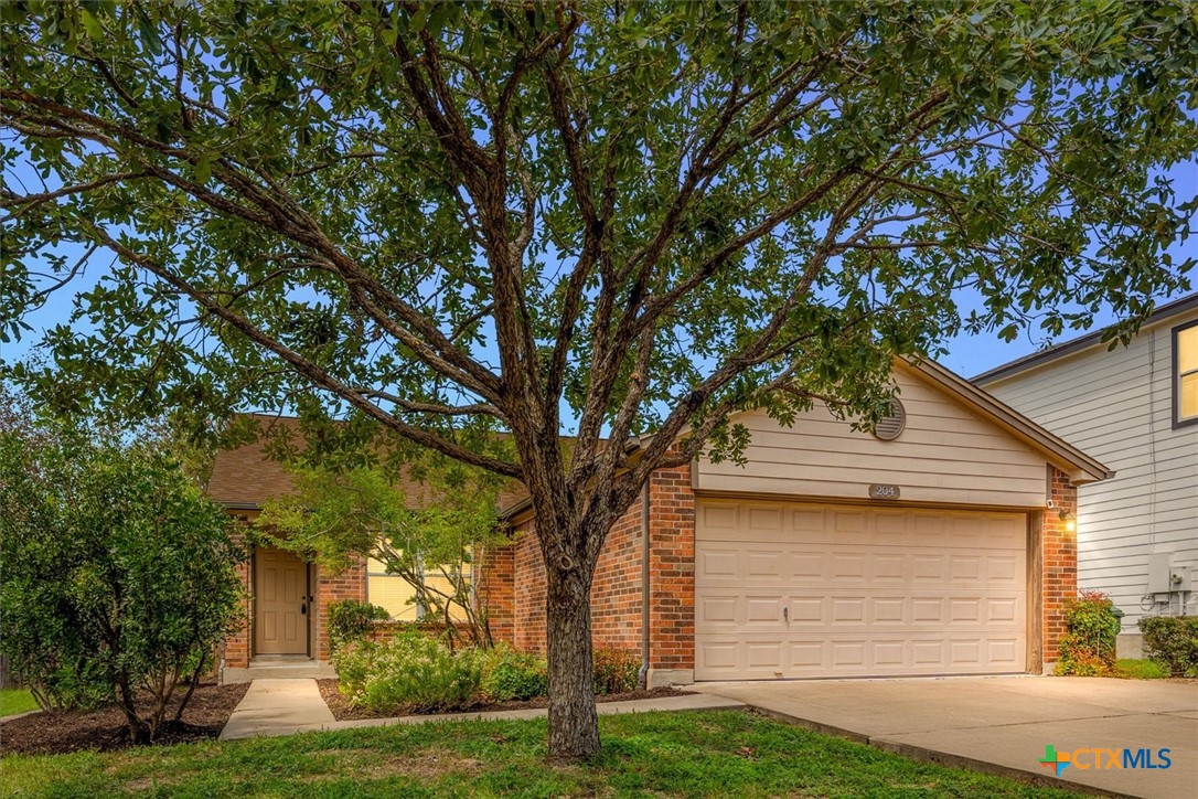 204 Capistrano Drive , San Marcos, TX, 78666 | 556642 | Realty Texas LLC