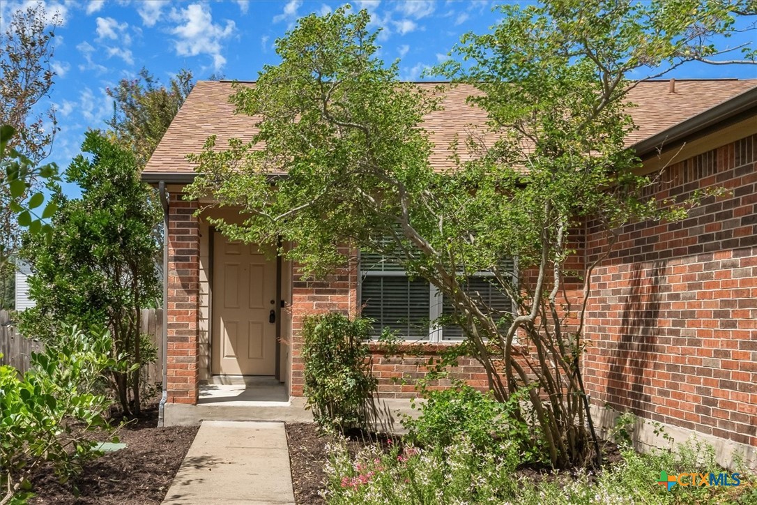 204 Capistrano Drive , San Marcos, TX, 78666 | 556642 | Realty Texas LLC