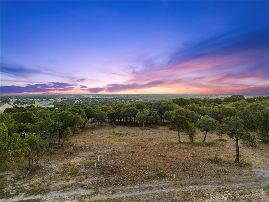 203 Merrifield Drive , Woodway, TX, 76712 | 225537 | Realty Texas LLC