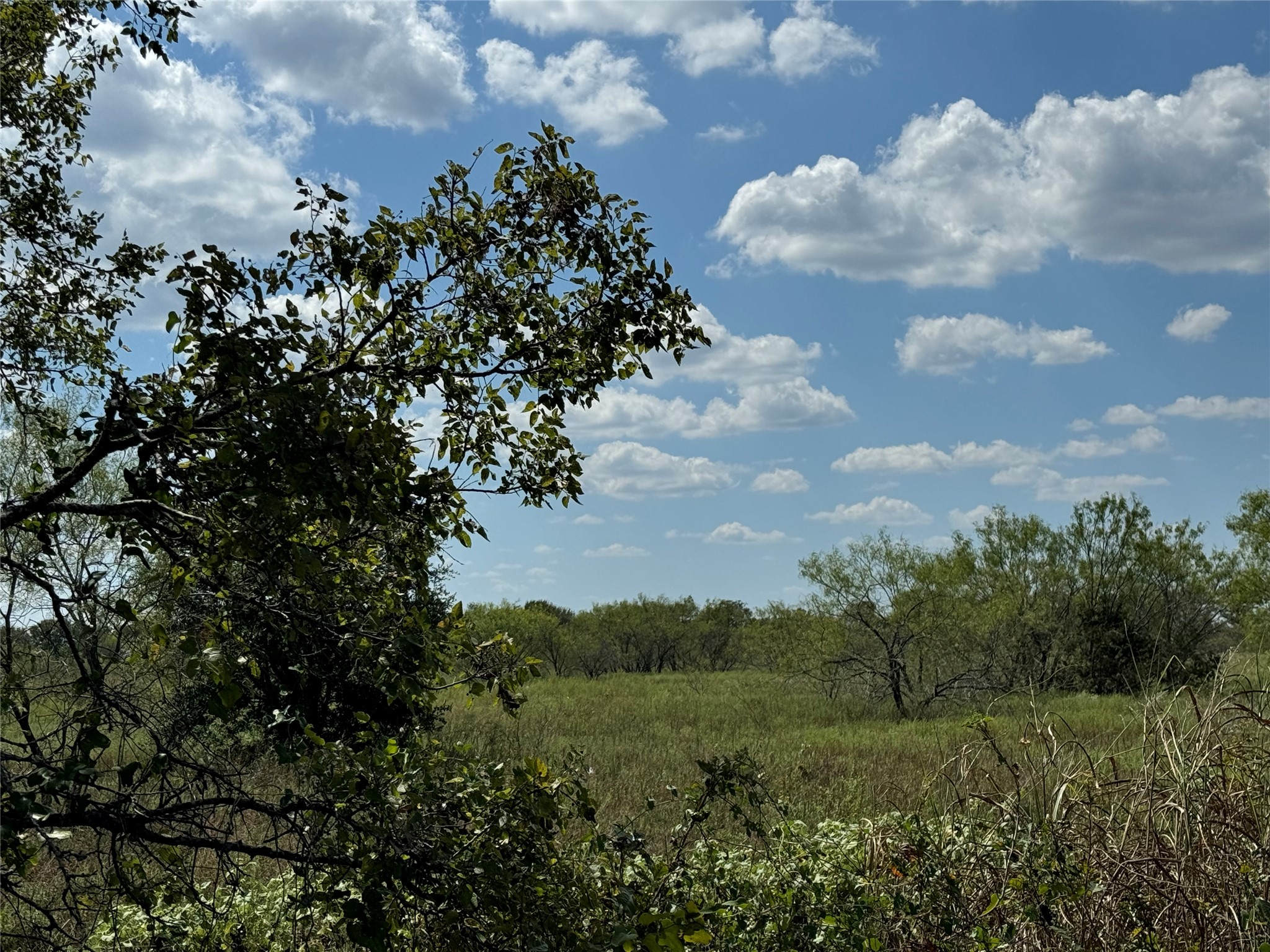 TBD1 County Road 1240, Cleburne, TX, 76033 | 20721750 | Realty Texas LLC