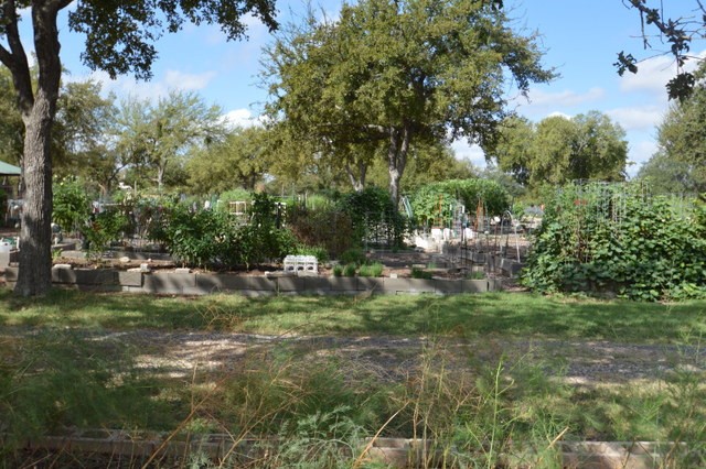 111 Larkspur Lane , Georgetown, TX, 78633 | 2778387 | Realty Texas LLC