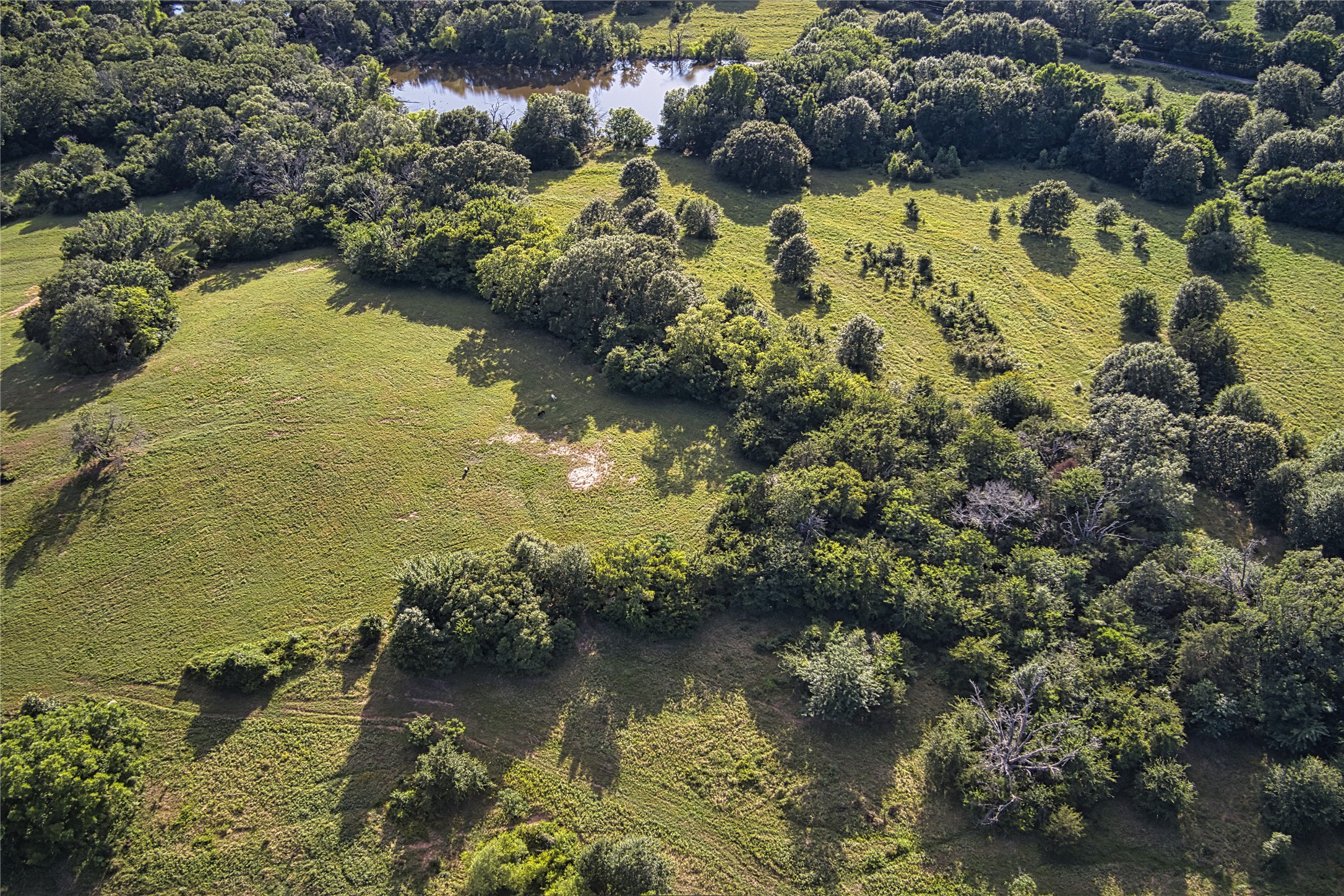 0000 County Road 3602 , Edgewood, TX, 75117 | 20734833 | Realty Texas LLC