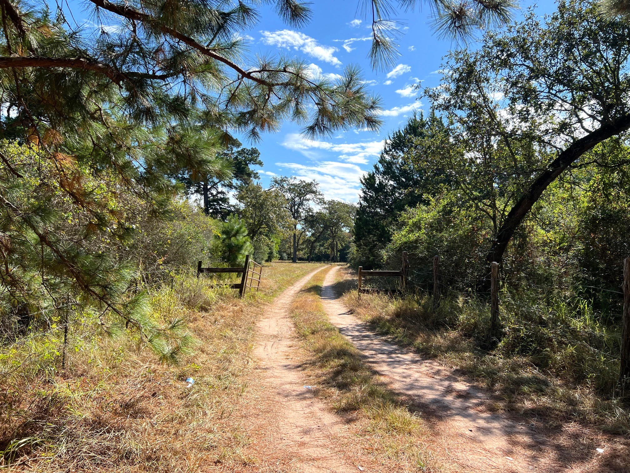 1091 Reese Lane , Columbus, TX, 78934 | 55168605 | Realty Texas LLC